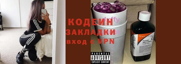 хмурый Вяземский