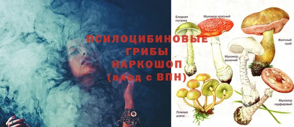 хмурый Вяземский