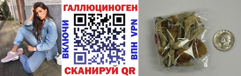 Псилоцибиновые грибы мицелий  Купить закладки  Петухово 