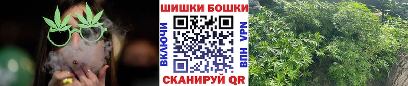 Купить где  Петухово  Шишки марихуана тримм 